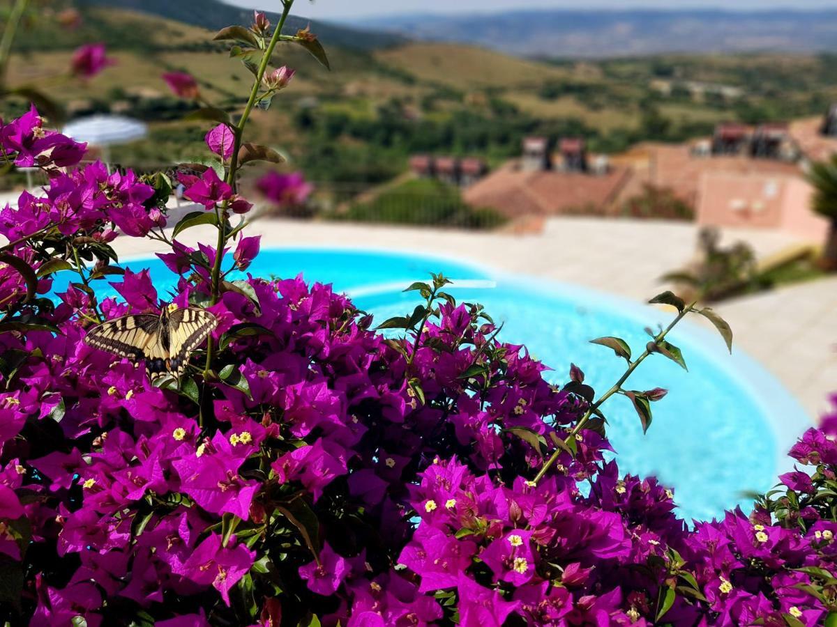 Residence Pala Stiddata With Panoramic Swimming Pool Trinità dʼAgultu Buitenkant foto